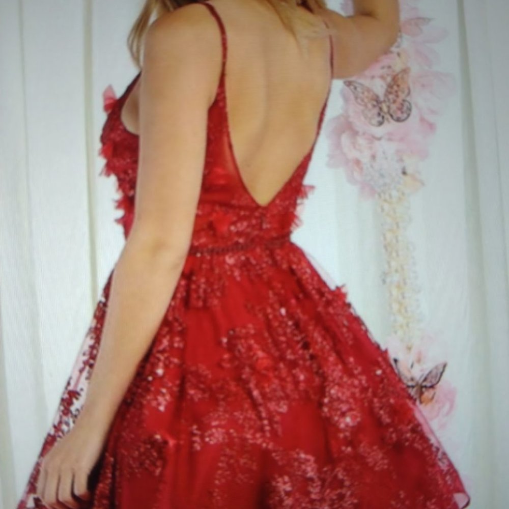Nox Anabelle Size Medium Party Dress View 2
